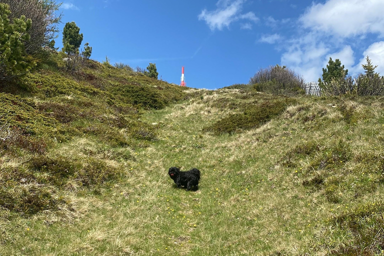 Innsbruck: private Abenteuertour mit Guide