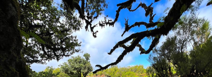 Visite privée de Madère en 4x4 : Côte nord-ouest