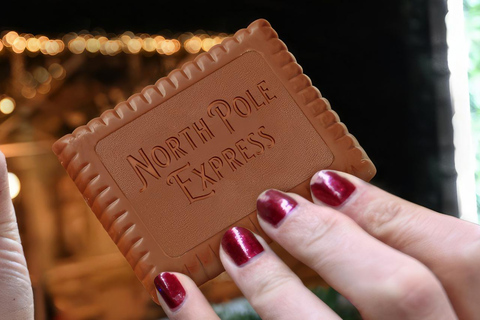London: North Pole Express Tour with Santa & Festive Fun Standard Experience