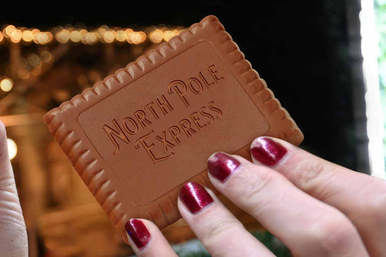 London: North Pole Express Tour with Santa & Festive Fun Standard Experience