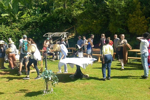 Tour della fattoria del tè viola da Nairobi - Esplora i verdi di GaturaTour della fattoria del tè viola da Nairobi - Esplora Gatura Greens