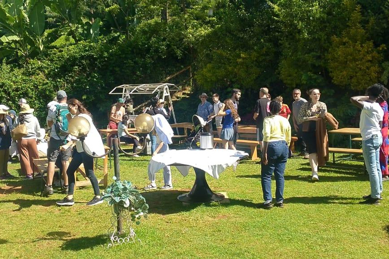 Tour della fattoria del tè viola da Nairobi - Esplora i verdi di GaturaTour della fattoria del tè viola da Nairobi - Esplora Gatura Greens