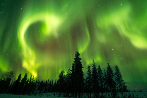 روفانيمي: جولة مضمونة لمشاهدة الشفق القطبي الشمالي + صور