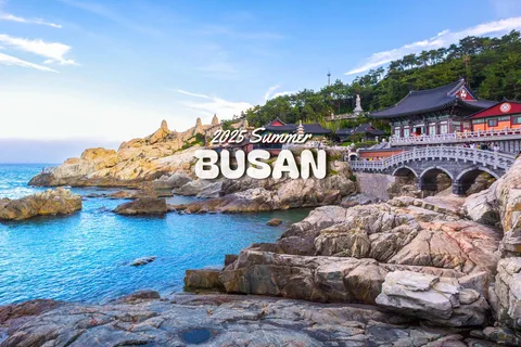 Ciudad de Busan: Principales atracciones Visita guiada de un día