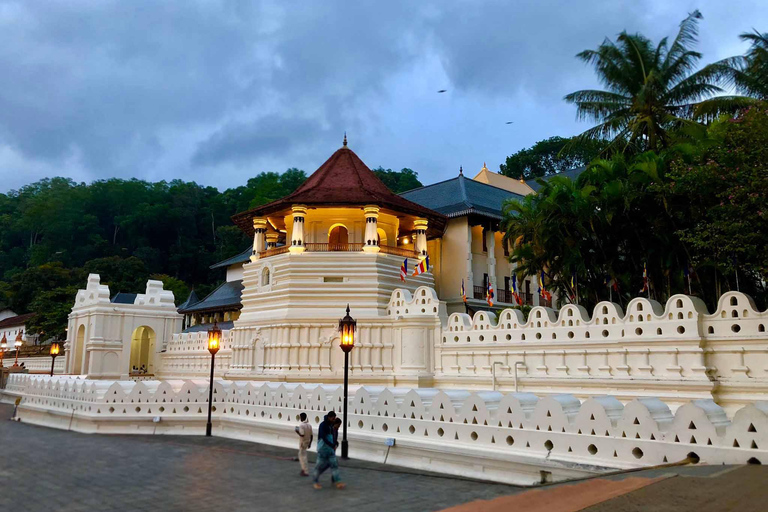 From Colombo: Kandy and Pinnawala Full Day Trip