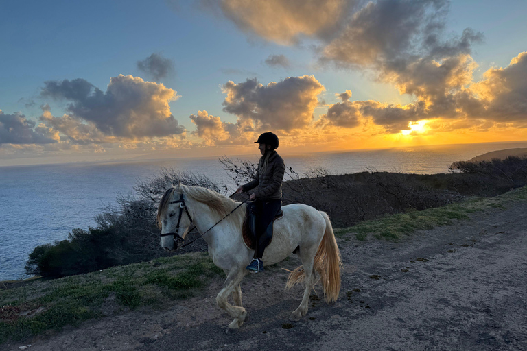 Isla de Porto Santo: Paseos a caballo180 min Aventura