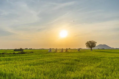 Siem Reap: Excursão Vespa Guiada ao Pôr do Sol e Aldeias Locais