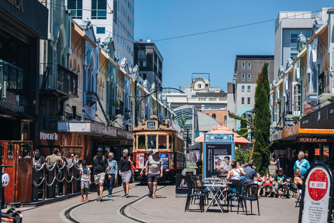 Lyttelton: Stadt-Highlights &amp; Avon PuntingChristchurch: City Highlights Tour with Avon River Punting
