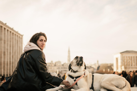 布鲁塞尔私人摄影拍摄，由专业摄影师全程跟拍。