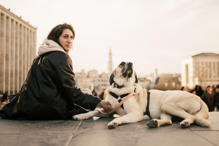 布鲁塞尔私人摄影拍摄，由专业摄影师全程跟拍。