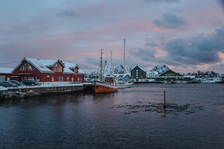 Visite touristique des Lofoten : visite d&#039;une demi-journée