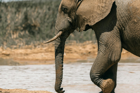 Tanzania: 4-Day Mid-Range Tour Tara, Serengeti & Ngorongoro