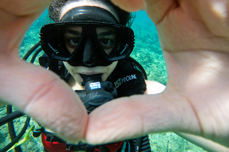 Vanuit Abu Dhabi: Duiken en snorkelen met BBQ, Transfer