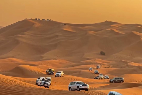 Doha : Arabian Horse Ride Experience With Pickup & Drop Off