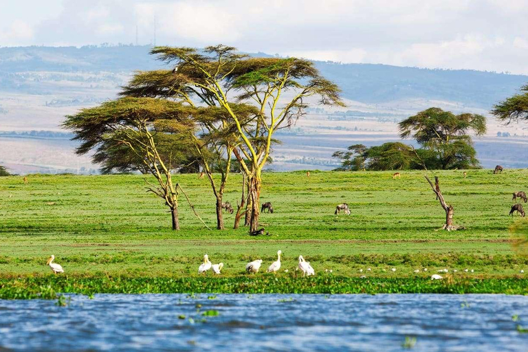 5 Days Magical Kenya Lodge Safari Kenya Wildlife Safari