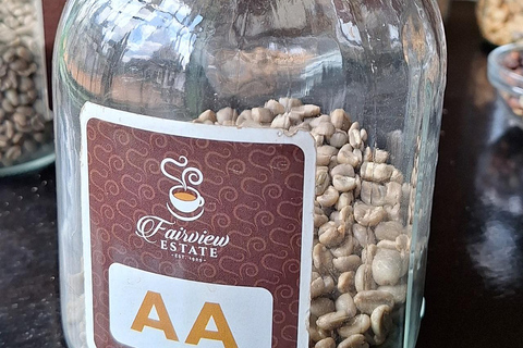 Nairobi: Fairview Coffee Farm Day Trip with Hotel Pickup