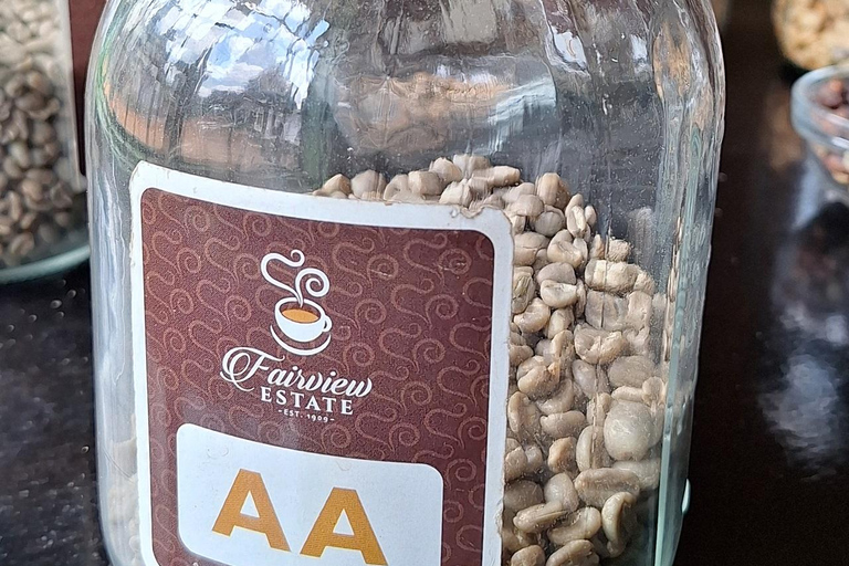 Nairobi: Fairview Coffee Farm Day Trip with Hotel Pickup