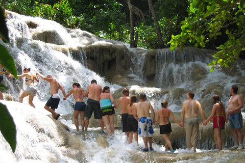 Montego Bay: Excursión a las cataratas del río Dunn y a la Laguna Luminosa