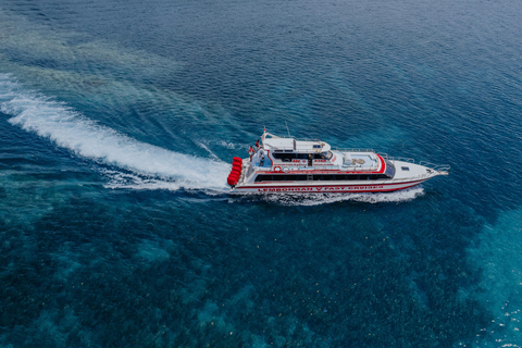 Gili Islands/Lombok: Fast Boat to Bali & Nusa Penida Gili Trawangan to Nusa Penida