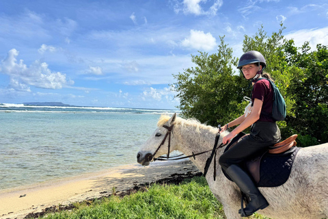 Saint-François : Balade à cheval en bord de mer de 2h30