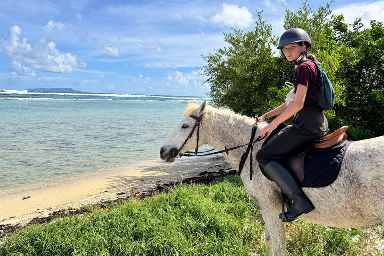 Saint-François : Balade à cheval en bord de mer de 2h30