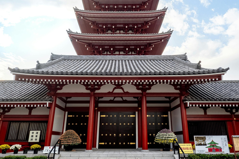 Tokyo: Private Customizable City Tour with Chauffeur Premium Van 5 pax!!!