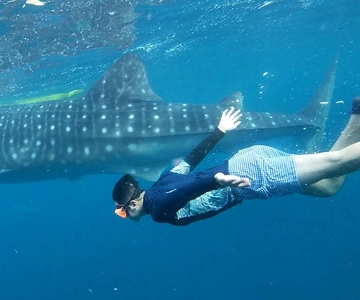 Cebu: Whale Shark Swim and Kawasan Canyoneering Tour