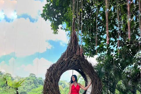 Bali: Monkey Forest, Waterfall, Swing & Beratan Lake Temple Private Tour Without Entrance Tickets