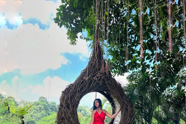 Bali: Monkey Forest, Waterfall, Swing & Beratan Lake Temple Private Tour Without Entrance Tickets