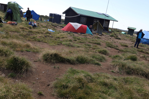 Kilimanjaro: excursión de un día a la meseta de Shira, desde Moshi/ Arusha