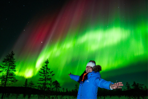 Rovaniemi: Northern Lights Tour with Guaranteed Viewings