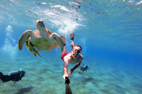 Marsa Mubarak Sea Turtles Trip with Optional Diving with 1 Intro-dives, Snorkelling, Lunch