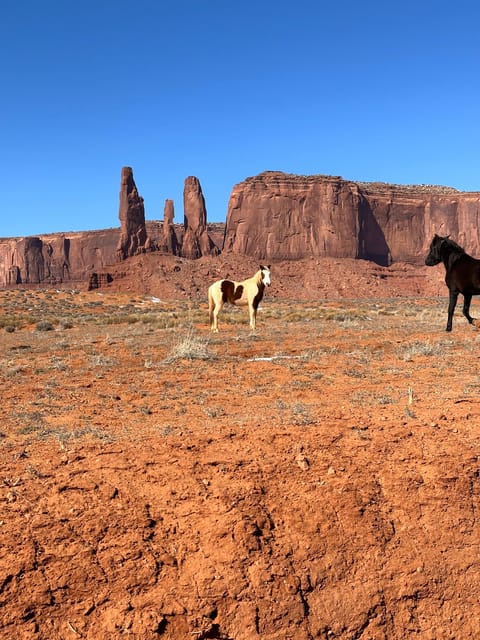 LA, San Francisco, Yosemite, Vegas, Antelope Tour de 8 días - Housity