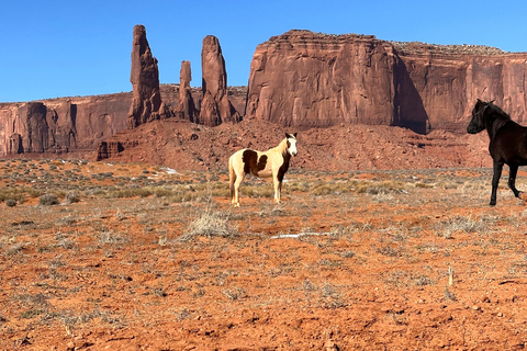 LA: Excursión de 8 días a San Francisco, Yosemite, Las Vegas y Antílope