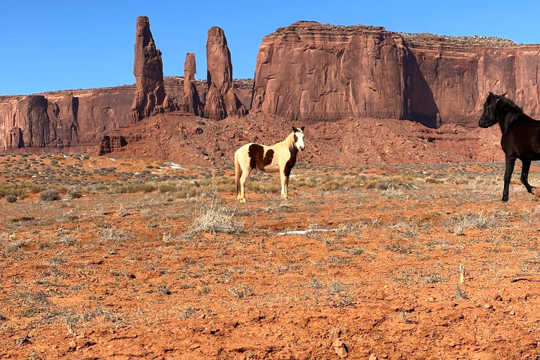 LA: Excursión de 8 días a San Francisco, Yosemite, Las Vegas y Antílope