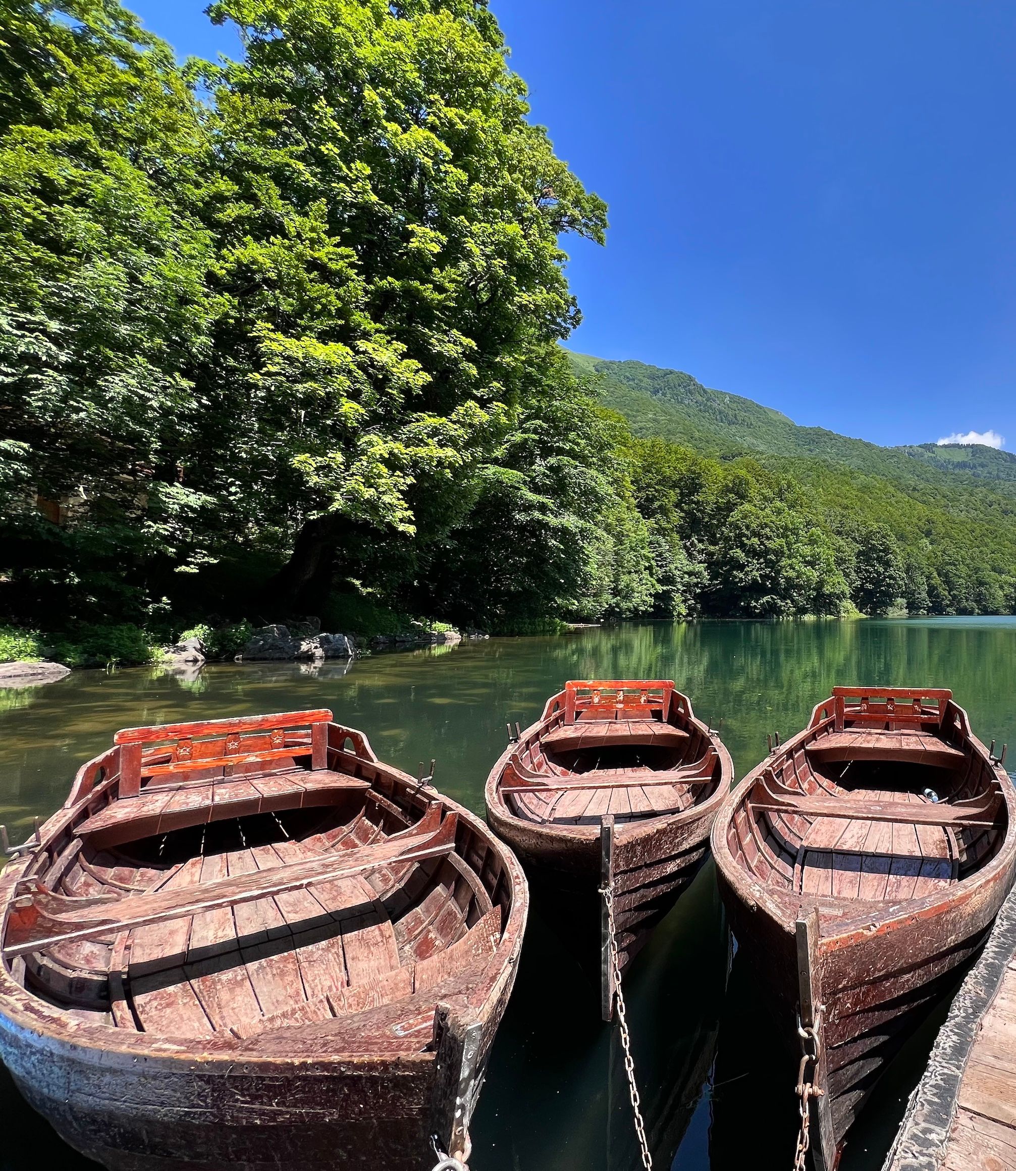Montenegro: Ausflug von Podgorica nach Biogradska Gora