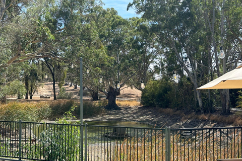 Clare Valley Uncorked: Full-Day Wine Adventure