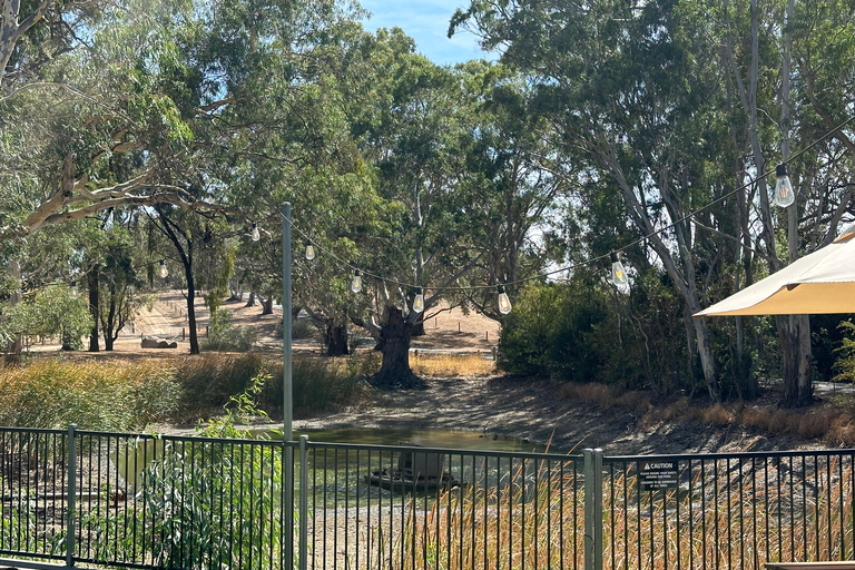 Clare Valley Uncorked: Full-Day Wine Adventure