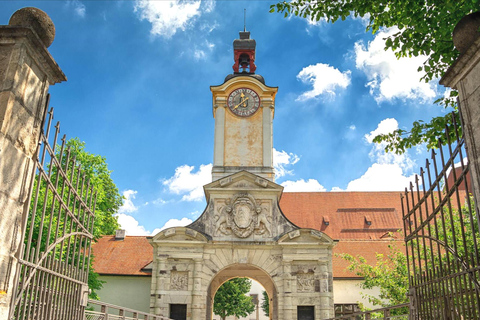 Ingolstadt: Express Rundgang mit einem Einheimischen60 min - Private Tour