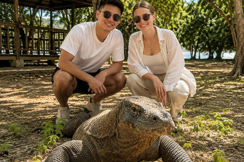 Labuan Bajo: 2-Day Komodo & Pink Beach Tour with Town Dinner Dorm (15 pax/room) 8 Island Stops, No Dinner, No Souvenirs
