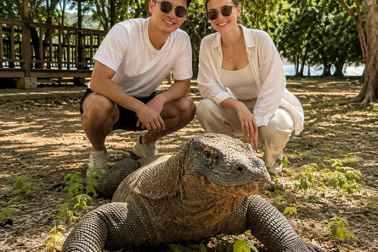 Labuan Bajo: 2-Day Komodo & Pink Beach Tour with Town Dinner Dorm (15 pax/room) 8 Island Stops, No Dinner, No Souvenirs