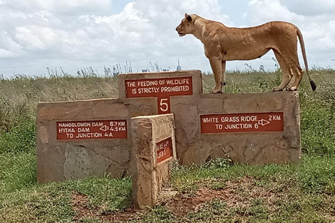 Nairobi: passeio de meio dia no Parque NacionalNairobi: tour privado de meio dia no Parque Nacional