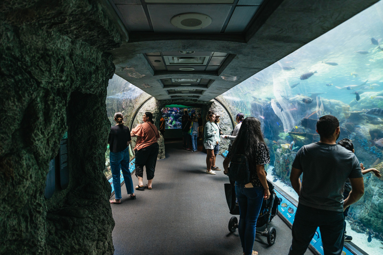 Acuario del Pacífico, LA: ticket sin colas en la taquilla