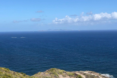 St. Maarten: Cruise Passenger Electric Bike Rental 6-Hour E-Bike
