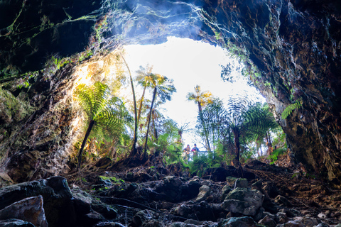 Desde Auckland: Excursión de un día en grupo a la Cueva de Waitomo y Orakei Korako