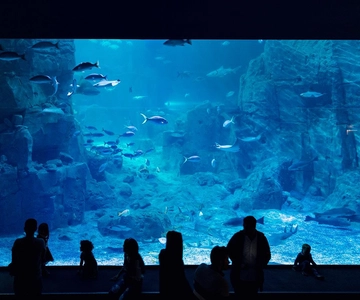 Aquarium Ticket with Shuttle Bus from Sultanahmet