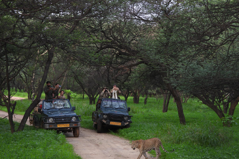 Jaipur: Tour privato Jhalana Leopard Safari