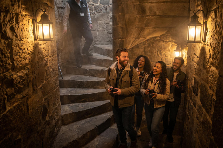 Bucharest: Dracula's Castle , Peles Castle & Brasov Day Tour Audio guide in 24 languages