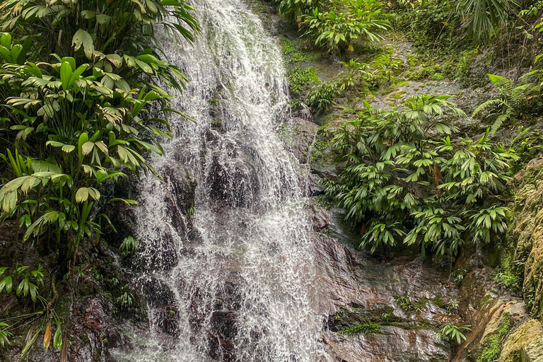 Minca Trip: Two Waterfalls with a Local Guide Minca Trip: Two Waterfalls Tour with a Local Guide