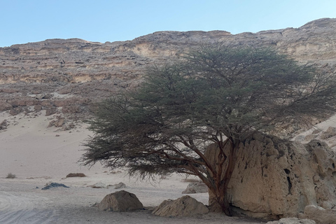 ( canyon hurghada &amp; observation des étoiles )( canyon et observation des étoiles )